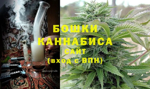 сатива Балахна
